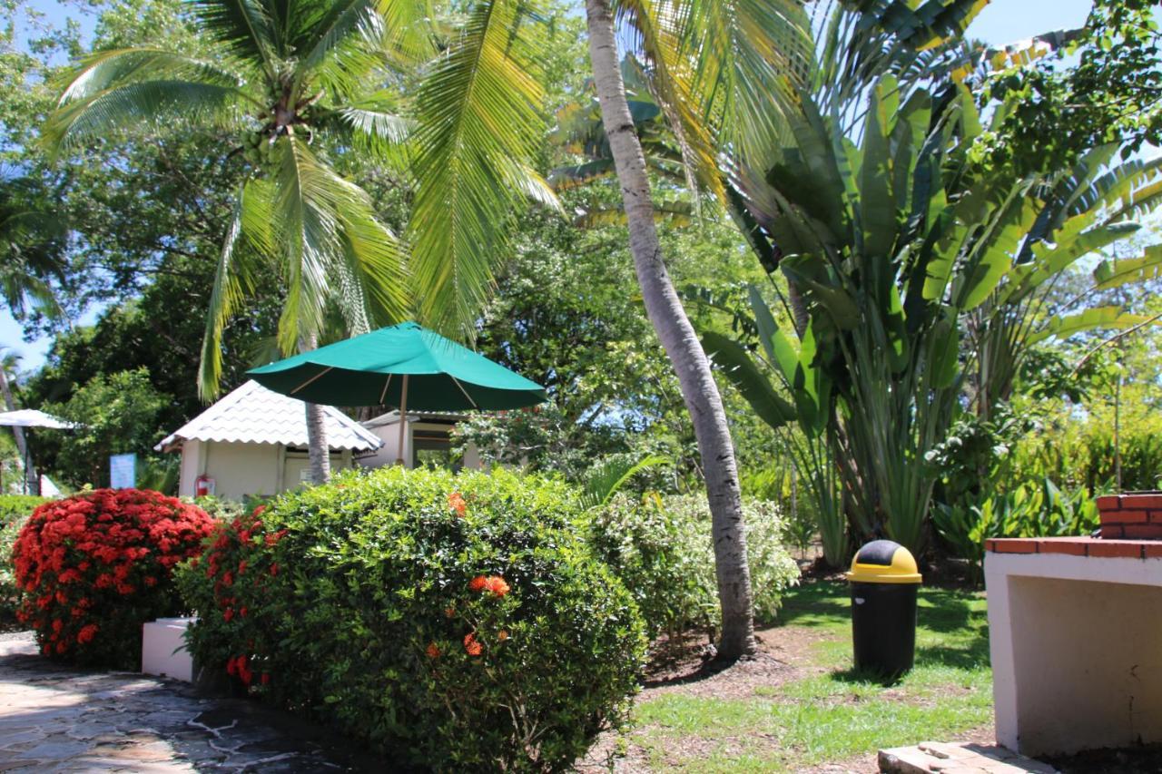 Tropical Bliss Pool Wi-Fi Bbq Near Quepos Manuel Antonio Leilighet Eksteriør bilde